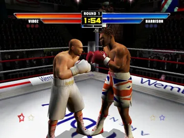 Mike Tyson Heavyweight Boxing (USA) screen shot game playing